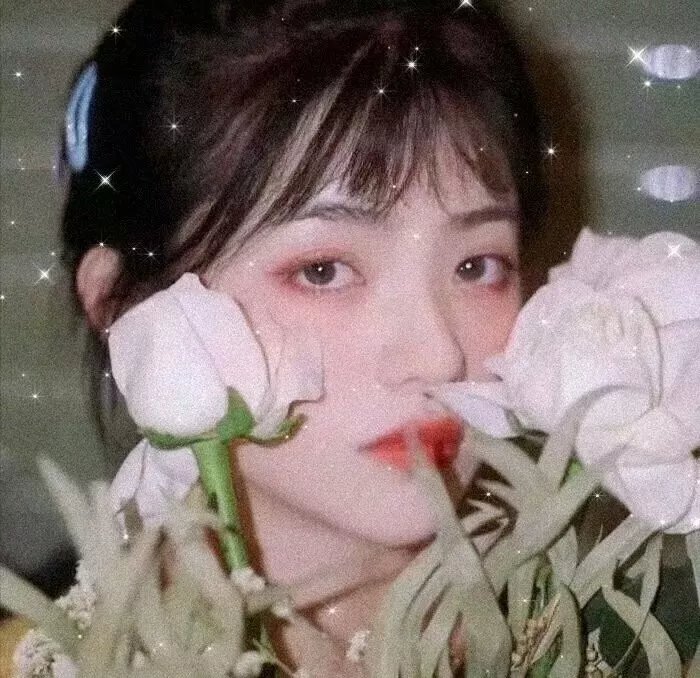 小维娜
